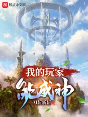 《鬼剑士玩家》小说在线阅读-起点中文网