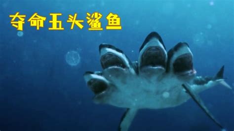 海底惊现五个头的鲨鱼，吃人越多头就越多，惊悚片《夺命五头鲨》#电影种草指南大赛#
