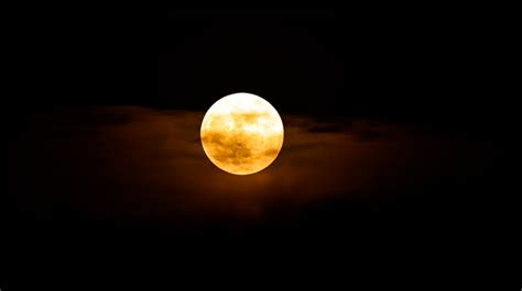 “粉红月亮”即将出现：如何看到年度最大、最亮超级月亮