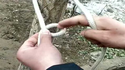 在捆绑树木的时候，这样系绳子会非常牢固，就连手残党也可以搞定！_腾讯视频
