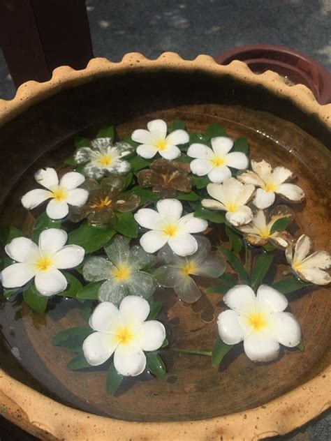 初三大四我爱你图片
