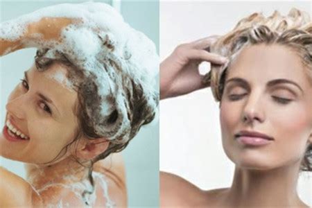 【图】洗头掉多少头发正常 这些知识告诉你_洗头_女物美容网|nvwu.com