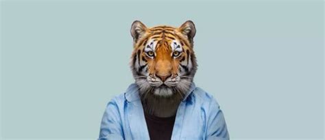 人面兽心——动物园肖像 摄影
