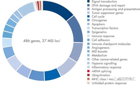 FBN2基因突变与遗传性结缔组织病的发生 - 中科院遗传与发育生物学研究所 - Free考研考试
