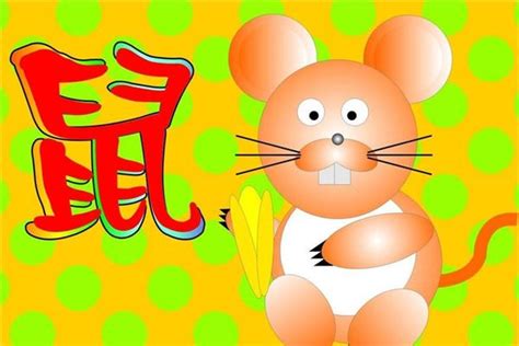 96年一月份的鼠(1996年属鼠几月出生最好)_生肖_若朴堂文化