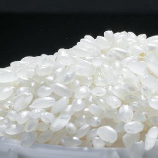 产地直供2022年新米5kg东北大米盘锦碱地米10斤圆粒珍珠米粳米-淘宝网