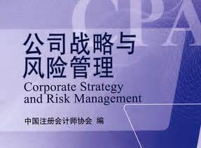 风险管理上升到战略风险层面，战术性、战略性风险管理 - 风险雷达