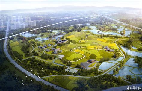 潍坊滨海城际生态绿廊（防护林）规划设计 - 专业景观绿化规划设计