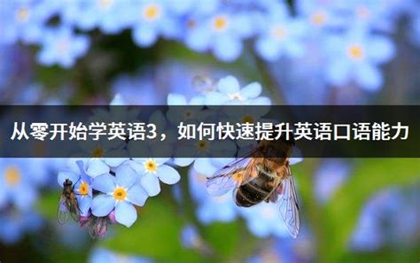 从零开始学英语3，如何快速提升英语口语能力_育英教育网