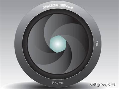 相机种类有哪些 数码相机的种类介绍_百科知识_学堂_齐家网