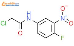 2-氯-N-(4-氟-3-硝基苯基)乙酰胺,2-chloro-N-(4-fluoro-3-nitrophenyl)acetamide ...