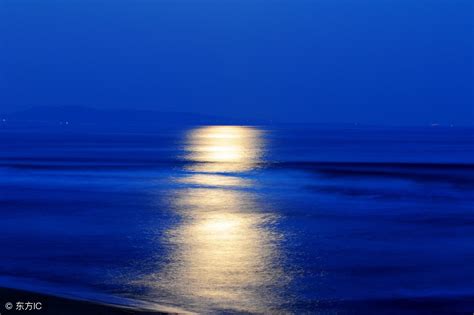 精读《唐诗三百首》055：海上生明月，天涯共此时|张九龄|唐诗三百首_新浪新闻