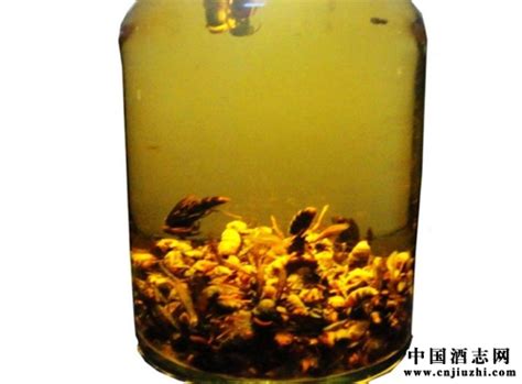 蜂胶泡酒的功效与作用及正确做法 - 蜂胶 - 酷蜜蜂