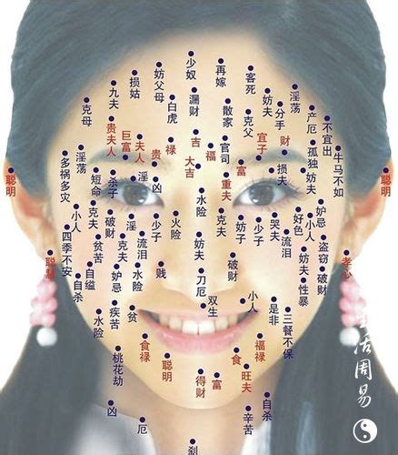 鼻子上长痣面相图图片 鼻子上长痣面相图图片