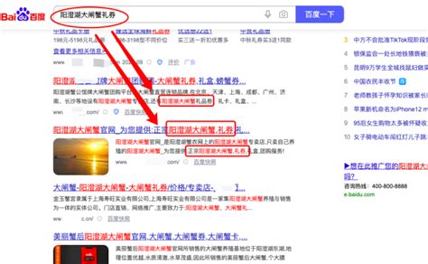 白杨SEO：影响网站在百度搜索排名的因素有哪些？