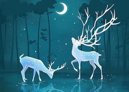 星空中的鹿唯美插画插画图片下载-正版图片400112272-摄图网