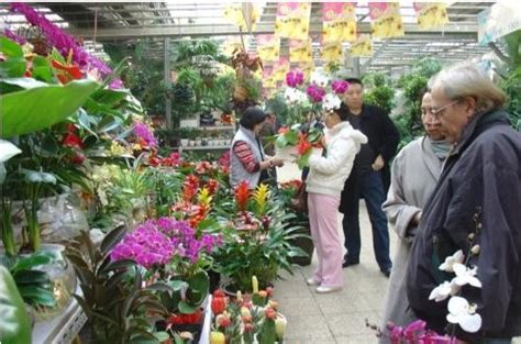 杭州花卉市场,杭州市花卉市场,杭州西溪花卉市场_大山谷图库