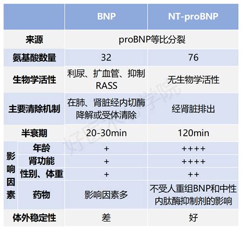 BNP与NT-proBNP有什么区别？ - 好医术早读文章 - 好医术-赋能医生守护生命