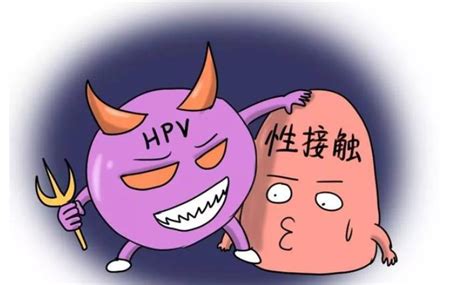 哪些接触可能传染HPV？ - 知乎