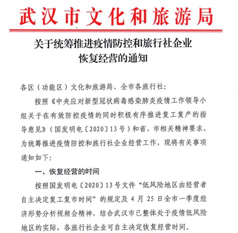 武汉文旅志愿者喜获国家级殊荣凤凰网湖北_凤凰网