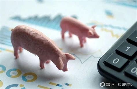 2020年11月5日最新生猪报价——猪价系统每日猪价_凤凰网视频_凤凰网