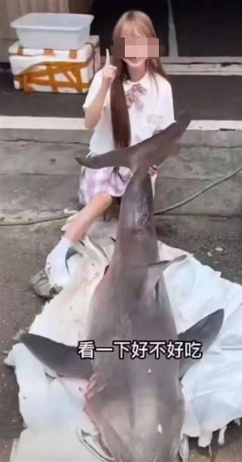 网红烹食大白鲨：花数千元从渔民处转手购得 捕获者及转卖者被批捕_凤凰网资讯_凤凰网