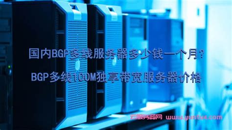国内BGP多线服务器多少钱一个月?BGP多线100M独享带宽服务器价格 - 云服务器网