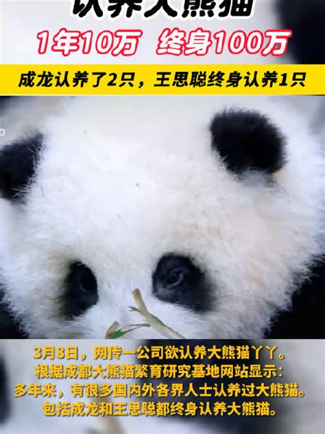 认养大熊猫1年10万终身100万，成龙认养了2只，王思聪终身认养1只_新浪新闻