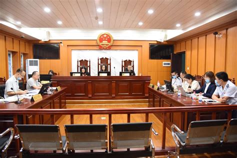 市高院召开上海法院推进法治化营商环境建设工作部署视频会-上海法院网
