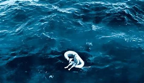 意外船难 还是蓄意谋杀 独自漂泊海上四天的孤女揭开事实真相