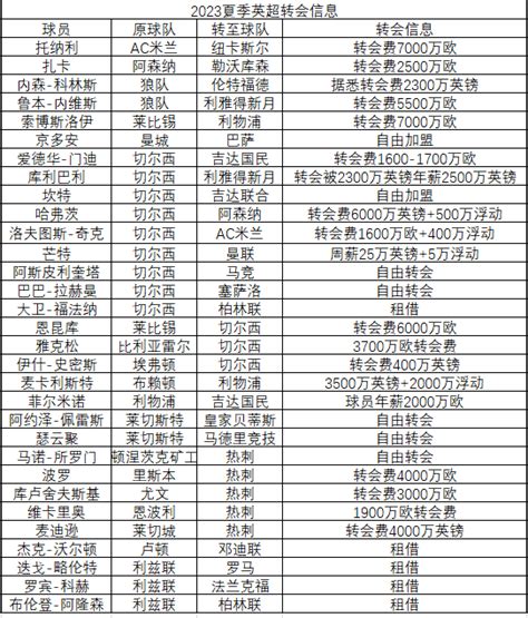 360体育-夏窗转会最贵阵容：哈弗茨领衔蓝军4将 萨内、阿什拉夫入选