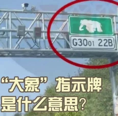 高速公路路标大象什么意思-有驾