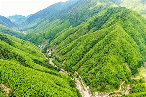 江西省铅山县恢复跨省团队游 特色茶文化旅游线路等你来体验-江西文化旅游网-大江网（中国江西网）