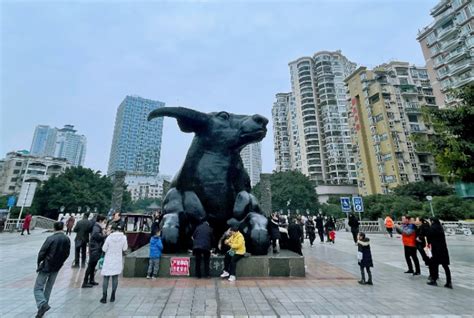 绵阳铁牛广场夜景图片素材 绵阳铁牛广场夜景设计素材 绵阳铁牛广场夜景摄影作品 绵阳铁牛广场夜景源文件下载 绵阳铁牛广场夜景图片素材下载 绵阳 ...