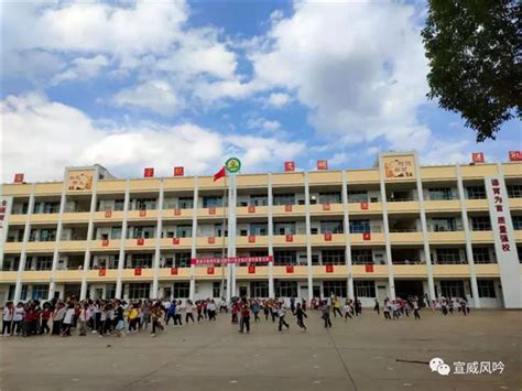 2021年云南曲靖宣威市公开考试选调教师121人（8月9日报名）