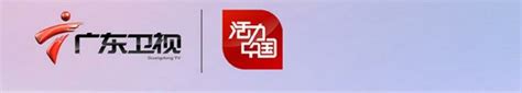 广东卫视台启用新LOGO-全力设计