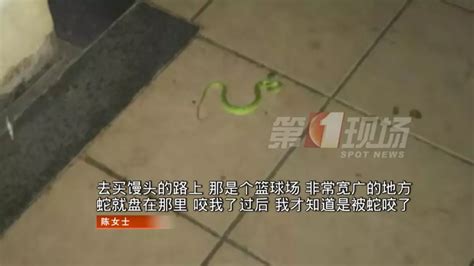 小区现毒蛇，怀胎7月孕妇被咬伤 物业自称不承担任何责任_深圳新闻网