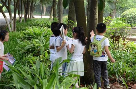 近400名孩子走进湿地，把盛夏藏进自然笔记|笔记|自然|湿地_新浪新闻