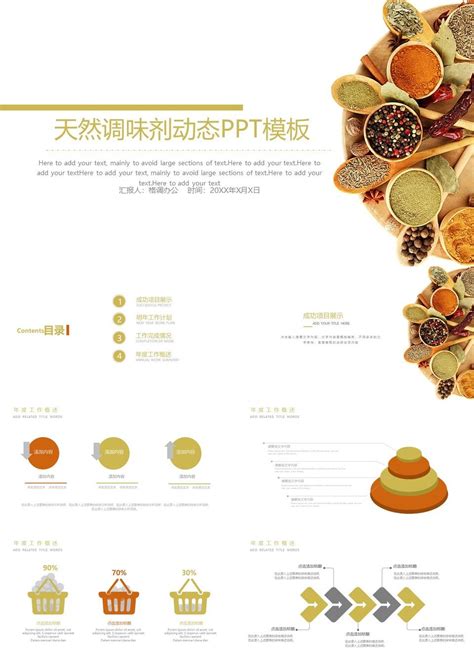 简洁创意食品调味剂宣传策划汇报PPT模板【24页】 _格调办公