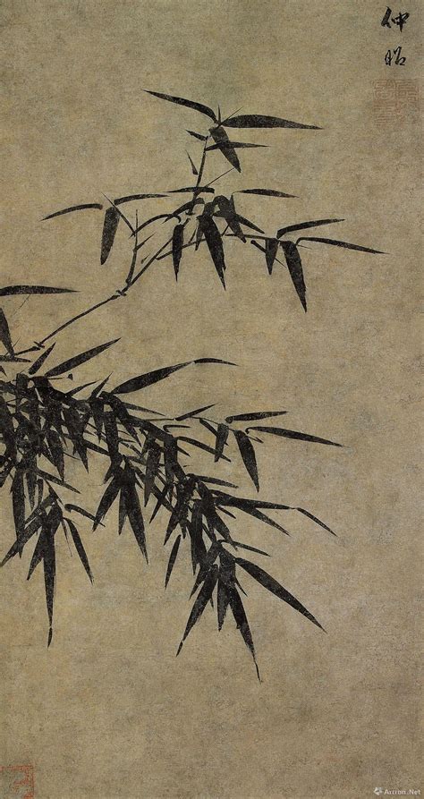竹子属于什么植物-cms教程网