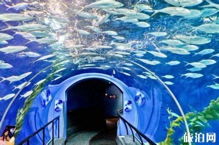 上海海洋水族馆现在门票多少钱一张 上海海洋水族馆门票上海