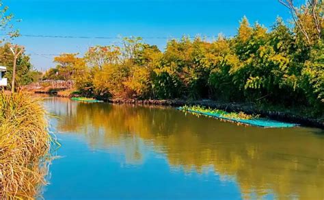 在青浦白鹤看一条河的蜕变之路——上海热线HOT频道