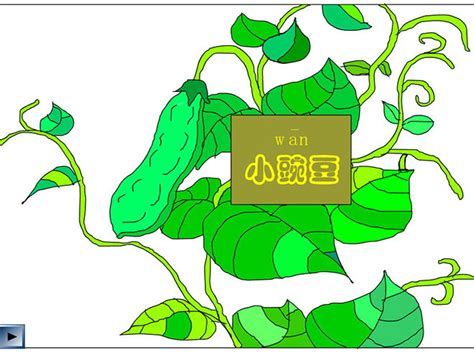一颗小豌豆(2)课文_沪教版小学五年级语文上册课本书_好学电子课本网