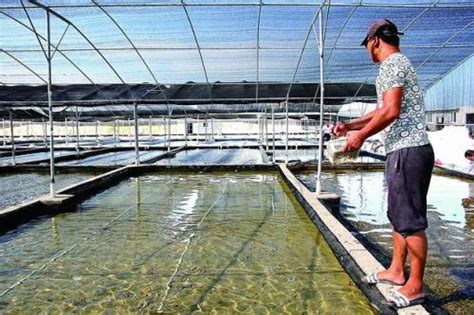 20级水产养殖技术专业学生参观实训基地