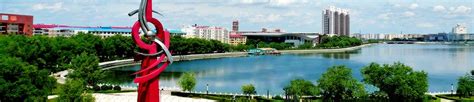 2021年黑龙江齐齐哈尔市龙沙区公开招聘大学生村官拟聘用人员名单公示