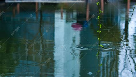 雨中的小池塘涟漪摄影图高清摄影大图-千库网
