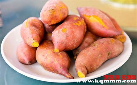 红薯的功效与作用,地瓜的营养价值_健康大百科