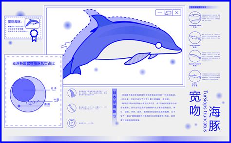 中华白海豚信息可视化_小马顶呱呱-站酷ZCOOL