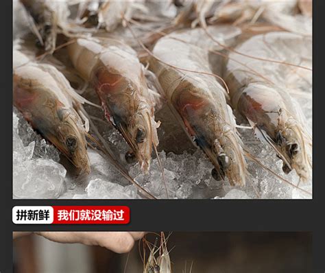 冰虾摄影图__传统美食_餐饮美食_摄影图库_昵图网nipic.com
