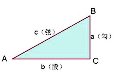 初中数学：直角三角形斜中定理在各种几何图形中的灵活应用 - 知乎